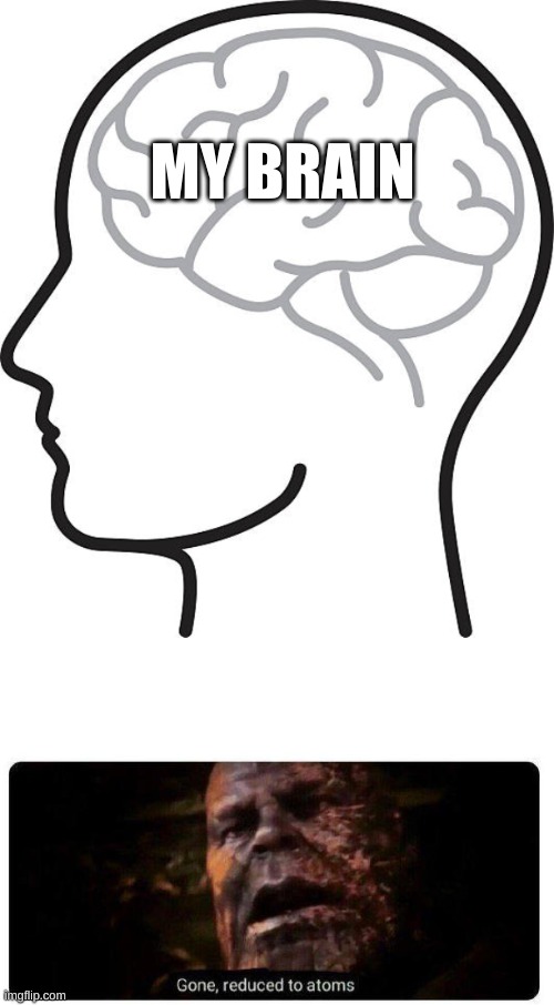 my brain | MY BRAIN | image tagged in gone reduced to atoms,meme,memes,fun,funny,lol | made w/ Imgflip meme maker