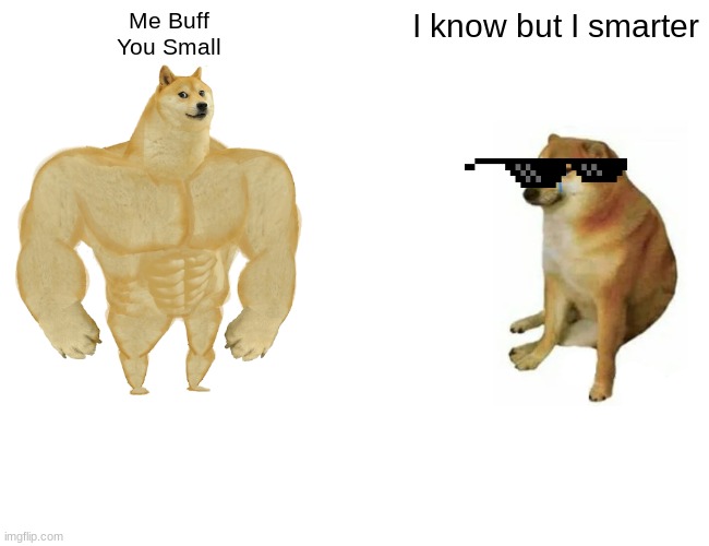 Buff Doge vs. Cheems | Me Buff
You Small; I know but I smarter | image tagged in memes,buff doge vs cheems | made w/ Imgflip meme maker