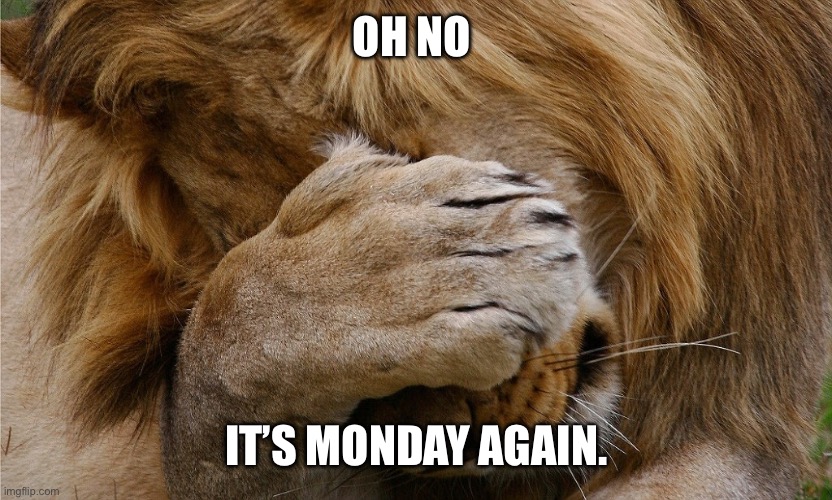 Oh no It's Monday again - Imgflip