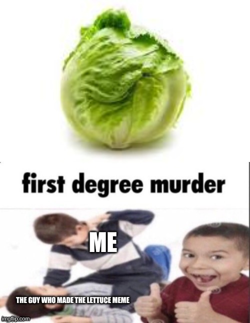 STOP | ME; THE GUY WHO MADE THE LETTUCE MEME | image tagged in first degree murder | made w/ Imgflip meme maker