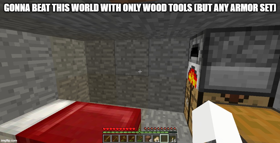 gonna be hard to get armor with only a wood pick | GONNA BEAT THIS WORLD WITH ONLY WOOD TOOLS (BUT ANY ARMOR SET) | made w/ Imgflip meme maker