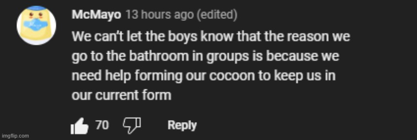 I found this on a video that says "Guys lets turn the comments in a girls comment section" | made w/ Imgflip meme maker