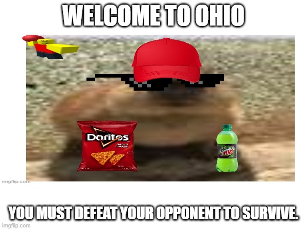 Defeat your oppnent P.5 | WELCOME TO OHIO; YOU MUST DEFEAT YOUR OPPONENT TO SURVIVE. | image tagged in omg,goofy ahh | made w/ Imgflip meme maker