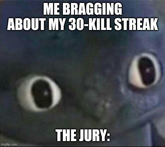 toothless blank stare | ME BRAGGING ABOUT MY 30-KILL STREAK; THE JURY: | image tagged in toothless blank stare | made w/ Imgflip meme maker