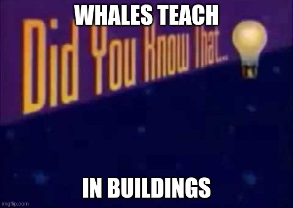 blue whales | WHALES TEACH; IN BUILDINGS | image tagged in did you know that | made w/ Imgflip meme maker