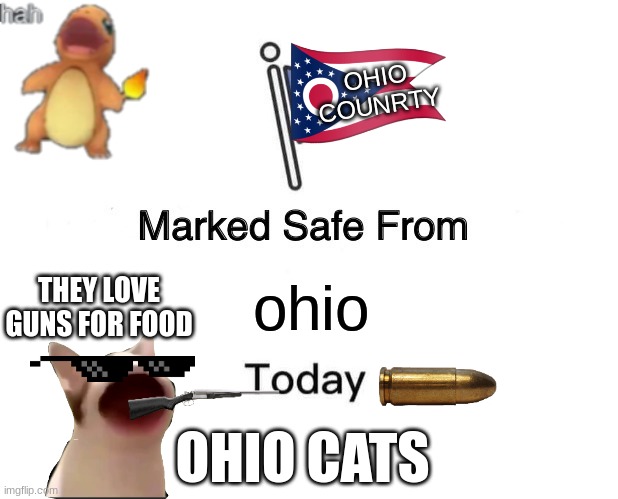 Marked Safe From | OHIO COUNRTY; THEY LOVE GUNS FOR FOOD; ohio; OHIO CATS | image tagged in memes,marked safe from | made w/ Imgflip meme maker