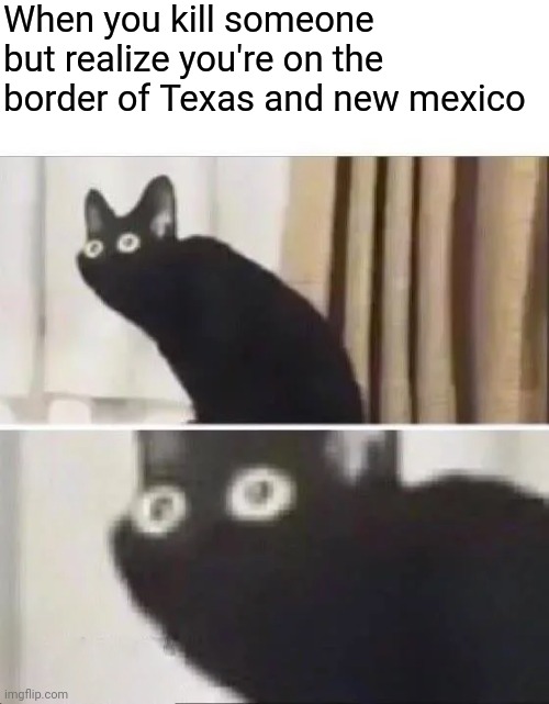 Texas has death penalty but not New mexico (#384) | When you kill someone but realize you're on the border of Texas and new mexico | image tagged in oh no black cat,texas,death,murder,border,memes | made w/ Imgflip meme maker