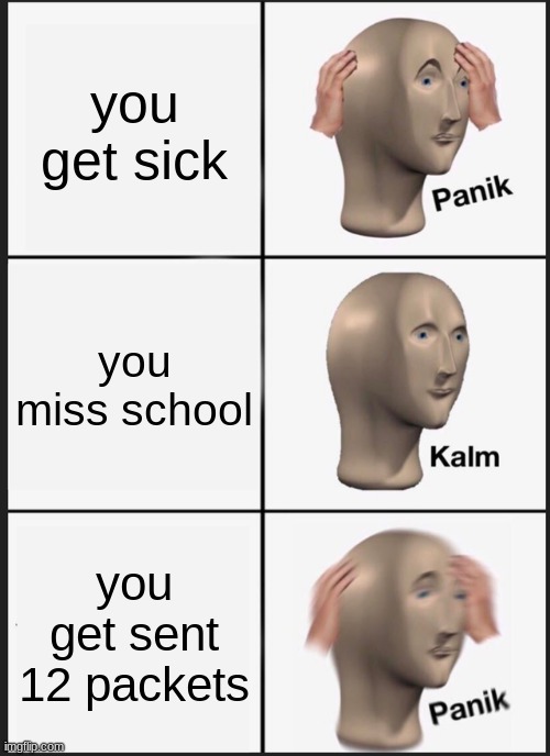 schools | you get sick; you miss school; you get sent 12 packets | image tagged in memes,panik kalm panik | made w/ Imgflip meme maker