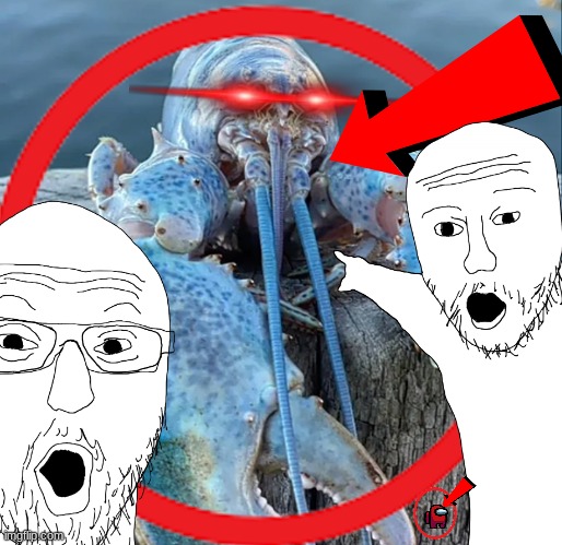 Blue lobster | image tagged in idk | made w/ Imgflip meme maker