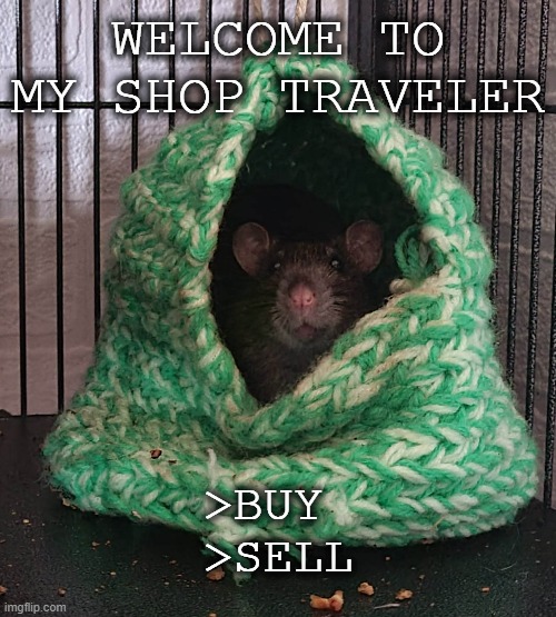 Ratty Shop Keep | WELCOME TO MY SHOP TRAVELER; >BUY 
>SELL | image tagged in rat,funny memes,shop keeper | made w/ Imgflip meme maker