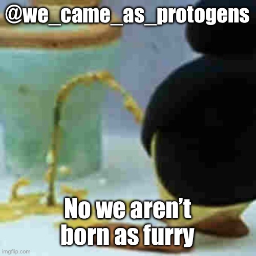 Pingu Pissing | @we_came_as_protogens; No we aren’t born as furry | image tagged in pingu pissing | made w/ Imgflip meme maker