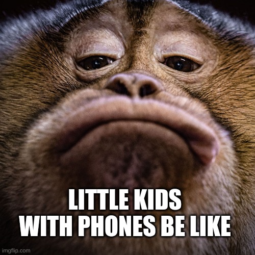 Little kids | LITTLE KIDS WITH PHONES BE LIKE | image tagged in little kids,phone | made w/ Imgflip meme maker