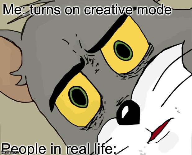 Creative title here | Me: turns on creative mode; People in real life: | image tagged in memes,unsettled tom,wow,oh wow are you actually reading these tags | made w/ Imgflip meme maker