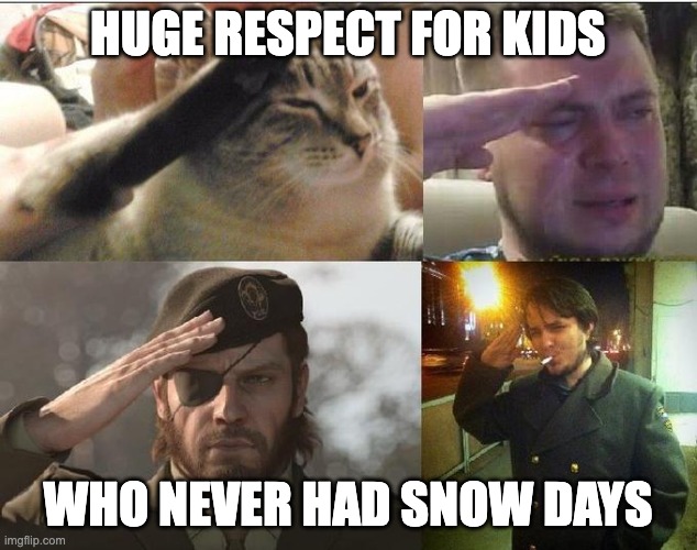 Poor Southerners | HUGE RESPECT FOR KIDS; WHO NEVER HAD SNOW DAYS | image tagged in ozon's salute | made w/ Imgflip meme maker