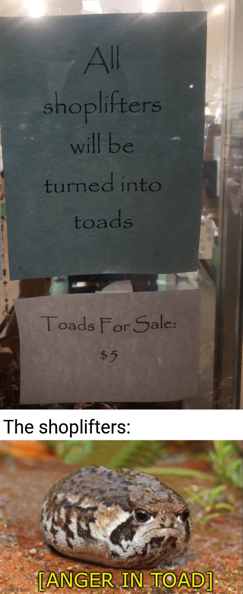 Toads | The shoplifters: | image tagged in anger in toad,shoplifting,shoplifters,toad,toads,memes | made w/ Imgflip meme maker