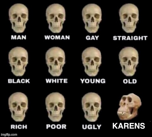 Y e s | KARENS | image tagged in idiot skull,karen,karens | made w/ Imgflip meme maker