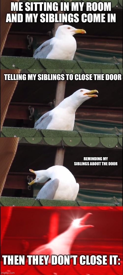 Inhaling Seagull | ME SITTING IN MY ROOM AND MY SIBLINGS COME IN; TELLING MY SIBLINGS TO CLOSE THE DOOR; REMINDING MY SIBLINGS ABOUT THE DOOR; THEN THEY DON’T CLOSE IT: | image tagged in memes,inhaling seagull | made w/ Imgflip meme maker