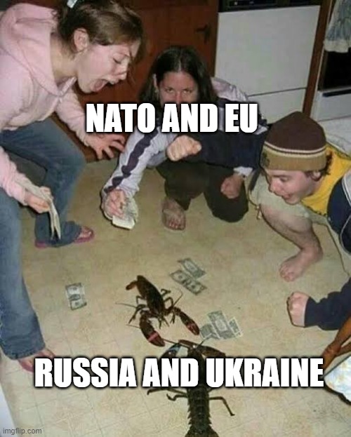 Gambling scorpion | NATO AND EU; RUSSIA AND UKRAINE | image tagged in gambling scorpion | made w/ Imgflip meme maker