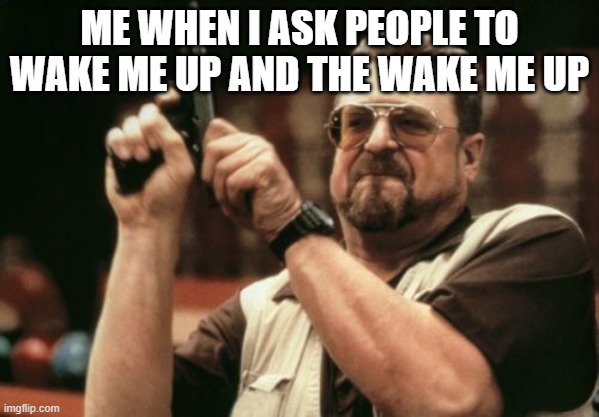 Am I The Only One Around Here | ME WHEN I ASK PEOPLE TO WAKE ME UP AND THE WAKE ME UP | image tagged in memes,am i the only one around here | made w/ Imgflip meme maker