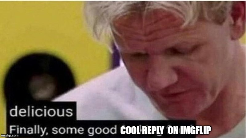 Gordon Ramsay some good food | COOL REPLY ON IMGFLIP | image tagged in gordon ramsay some good food | made w/ Imgflip meme maker