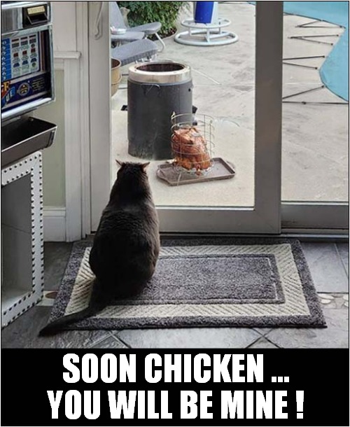 Temptation Only A Door-Slide Away ! | SOON CHICKEN ...
YOU WILL BE MINE ! | image tagged in cats,chicken,temptation | made w/ Imgflip meme maker