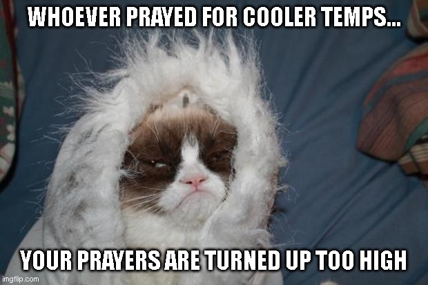 Too cold for Grumpy cat | WHOEVER PRAYED FOR COOLER TEMPS... YOUR PRAYERS ARE TURNED UP TOO HIGH | image tagged in cold grumpy cat | made w/ Imgflip meme maker