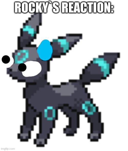 rocky the umbreon | ROCKY`S REACTION: | image tagged in rocky the umbreon | made w/ Imgflip meme maker