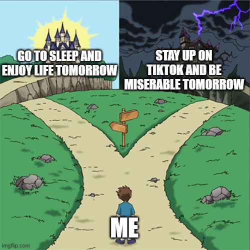 Two Paths | STAY UP ON TIKTOK AND BE MISERABLE TOMORROW; GO TO SLEEP AND ENJOY LIFE TOMORROW; ME | image tagged in two paths | made w/ Imgflip meme maker