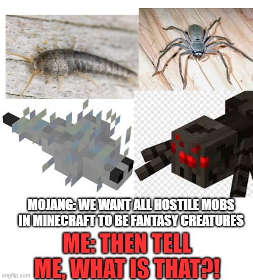 Bro, Mojang... | MOJANG: WE WANT ALL HOSTILE MOBS IN MINECRAFT TO BE FANTASY CREATURES; ME: THEN TELL ME, WHAT IS THAT?! | image tagged in minecraft,mojang | made w/ Imgflip meme maker