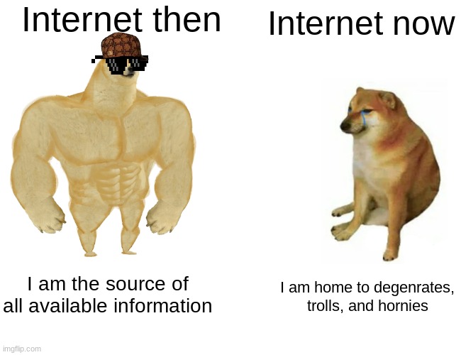 Buff Doge vs. Cheems Meme | Internet then; Internet now; I am the source of all available information; I am home to degenrates, trolls, and hornies | image tagged in memes,buff doge vs cheems | made w/ Imgflip meme maker