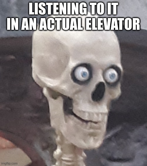 Traumatized Skeleton | LISTENING TO IT IN AN ACTUAL ELEVATOR | image tagged in traumatized skeleton | made w/ Imgflip meme maker