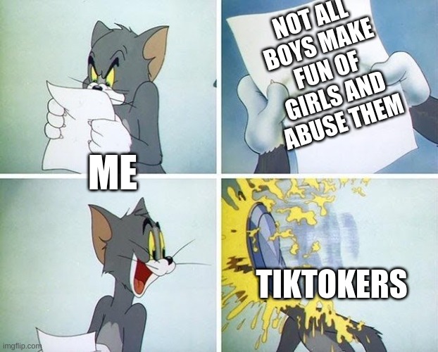 Tom and Jerry custard pie | NOT ALL BOYS MAKE FUN OF GIRLS AND ABUSE THEM; ME; TIKTOKERS | image tagged in tom and jerry custard pie | made w/ Imgflip meme maker
