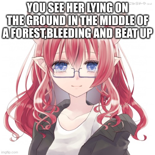 rules in tags | YOU SEE HER LYING ON THE GROUND IN THE MIDDLE OF A FOREST,BLEEDING AND BEAT UP | image tagged in no joke,no bambi,romance allowed,any gender,no leaving her | made w/ Imgflip meme maker