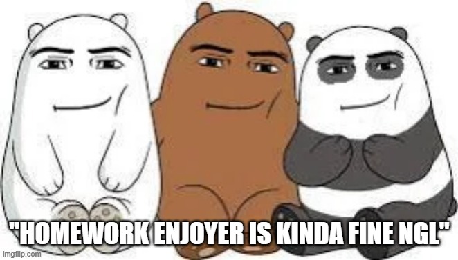 We Bear Man Face | "HOMEWORK ENJOYER IS KINDA FINE NGL" | made w/ Imgflip meme maker
