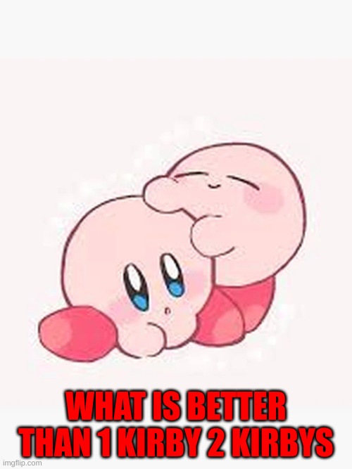 2 kirbys | WHAT IS BETTER THAN 1 KIRBY 2 KIRBYS | image tagged in kirby | made w/ Imgflip meme maker