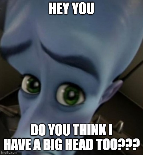 Megamind no bitches | HEY YOU; DO YOU THINK I HAVE A BIG HEAD TOO??? | image tagged in megamind no bitches | made w/ Imgflip meme maker