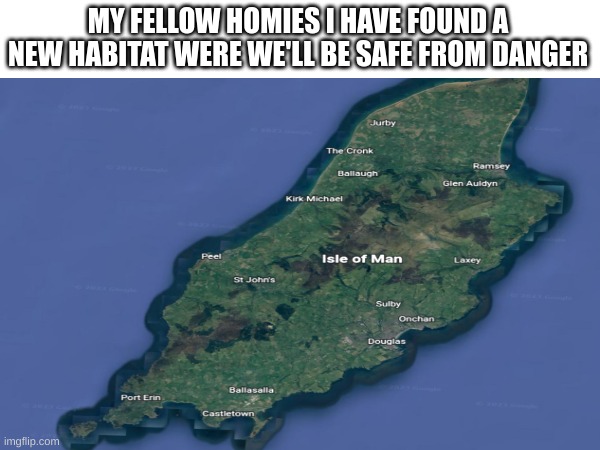 new home | MY FELLOW HOMIES I HAVE FOUND A NEW HABITAT WERE WE'LL BE SAFE FROM DANGER | image tagged in alright gentlemen we need a new idea | made w/ Imgflip meme maker