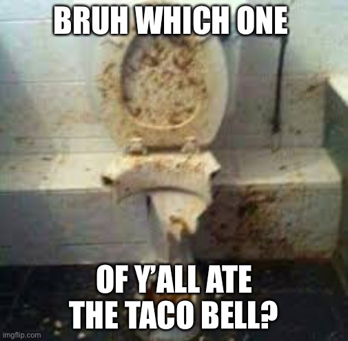Taco bell go brrr | BRUH WHICH ONE; OF Y’ALL ATE THE TACO BELL? | image tagged in wtf,taco bell,toilet,funny | made w/ Imgflip meme maker