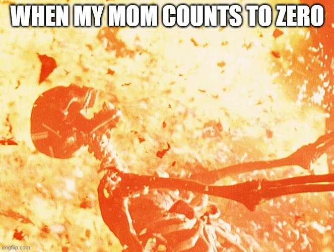 true doe | WHEN MY MOM COUNTS TO ZERO | image tagged in fire skeleton | made w/ Imgflip meme maker