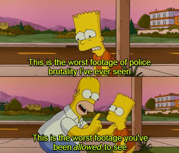 Facts. | image tagged in the simpsons,tyre nichols,police,police brutality,black lives matter | made w/ Imgflip meme maker