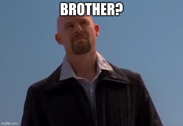 Knockoff walter | BROTHER? | image tagged in knockoff walter | made w/ Imgflip meme maker