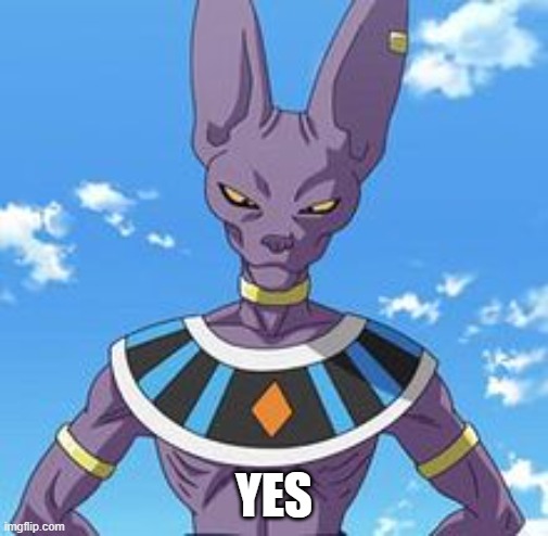 lord beerus | YES | image tagged in lord beerus | made w/ Imgflip meme maker