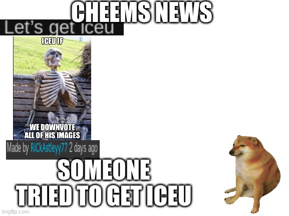 Blank White Template | CHEEMS NEWS; SOMEONE TRIED TO GET ICEU | image tagged in blank white template | made w/ Imgflip meme maker