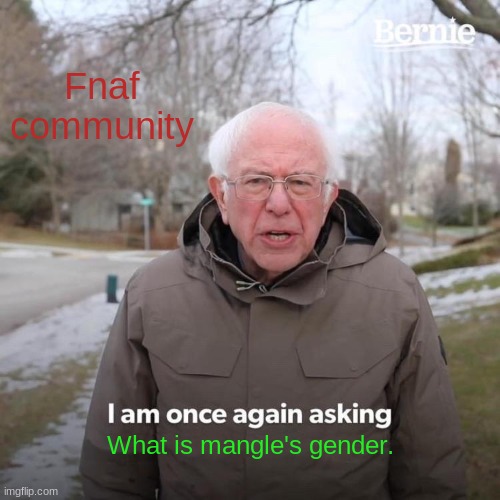 Bernie I Am Once Again Asking For Your Support | Fnaf community; What is mangle's gender. | image tagged in memes,bernie i am once again asking for your support | made w/ Imgflip meme maker