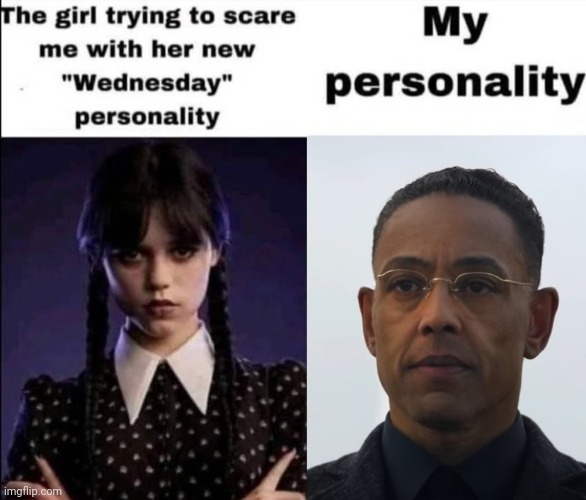 i'm pretty professional in my arguments | made w/ Imgflip meme maker