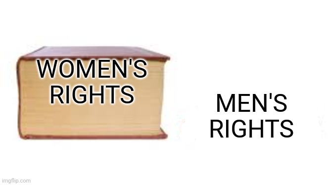 Big book small book | WOMEN'S RIGHTS MEN'S RIGHTS | image tagged in big book small book | made w/ Imgflip meme maker