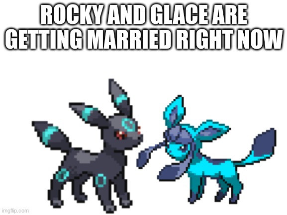 :) | ROCKY AND GLACE ARE GETTING MARRIED RIGHT NOW | made w/ Imgflip meme maker
