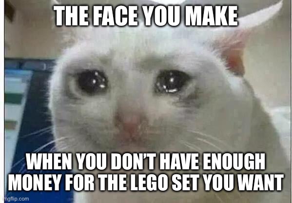 Lego is really expensive… | THE FACE YOU MAKE; WHEN YOU DON’T HAVE ENOUGH MONEY FOR THE LEGO SET YOU WANT | image tagged in crying cat | made w/ Imgflip meme maker