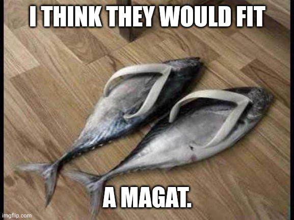 Fish Flops | I THINK THEY WOULD FIT A MAGAT. | image tagged in fish flops | made w/ Imgflip meme maker