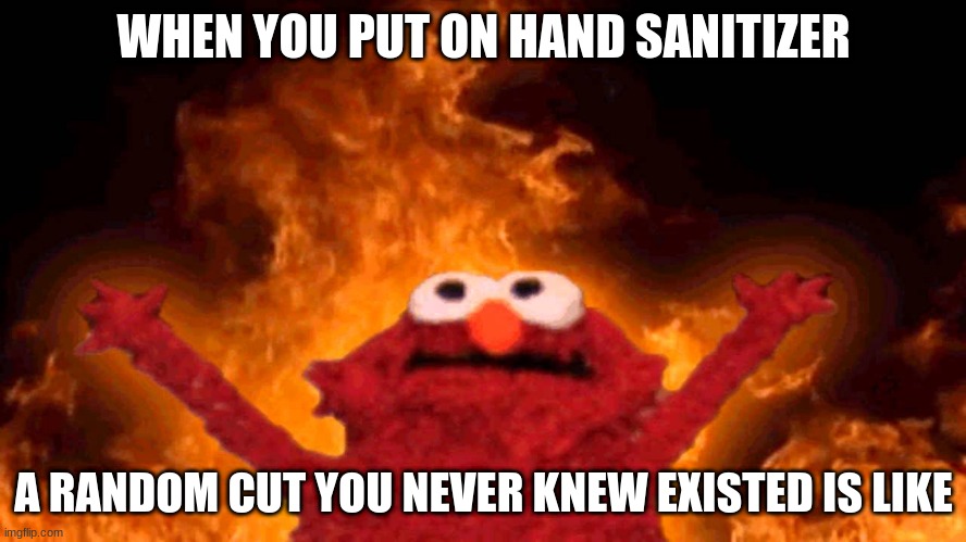 OWWW | WHEN YOU PUT ON HAND SANITIZER; A RANDOM CUT YOU NEVER KNEW EXISTED IS LIKE | image tagged in elmo fire | made w/ Imgflip meme maker